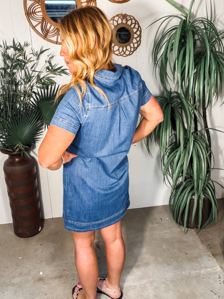 Denim Farmers Market Dress